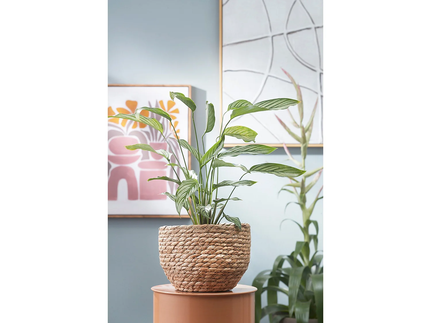 Plantenmand set van zeegras en plastic - Ø26 x 24 - Lichtbruin - JORCK