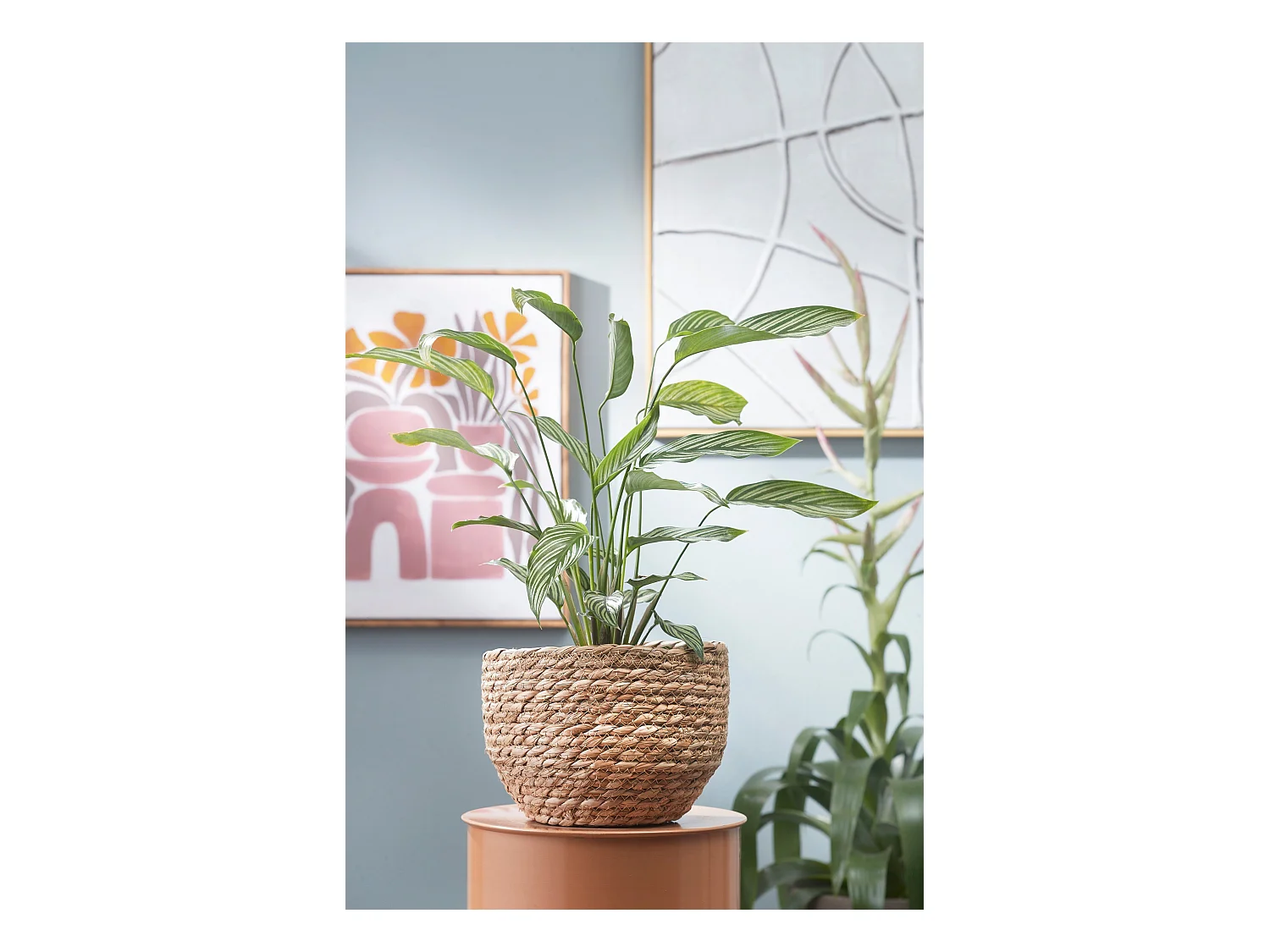 Plantenmand set van zeegras en plastic - Ø26 x 24 - Lichtbruin - JORCK