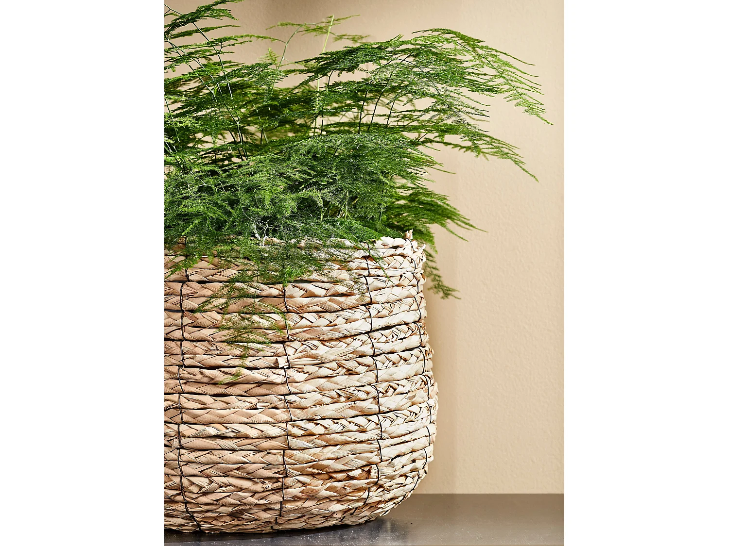 Ensemble de panier a plantes en seagrass et métal et plastique (inlay) - Ø30 x 31 - Marron clair - AVALON