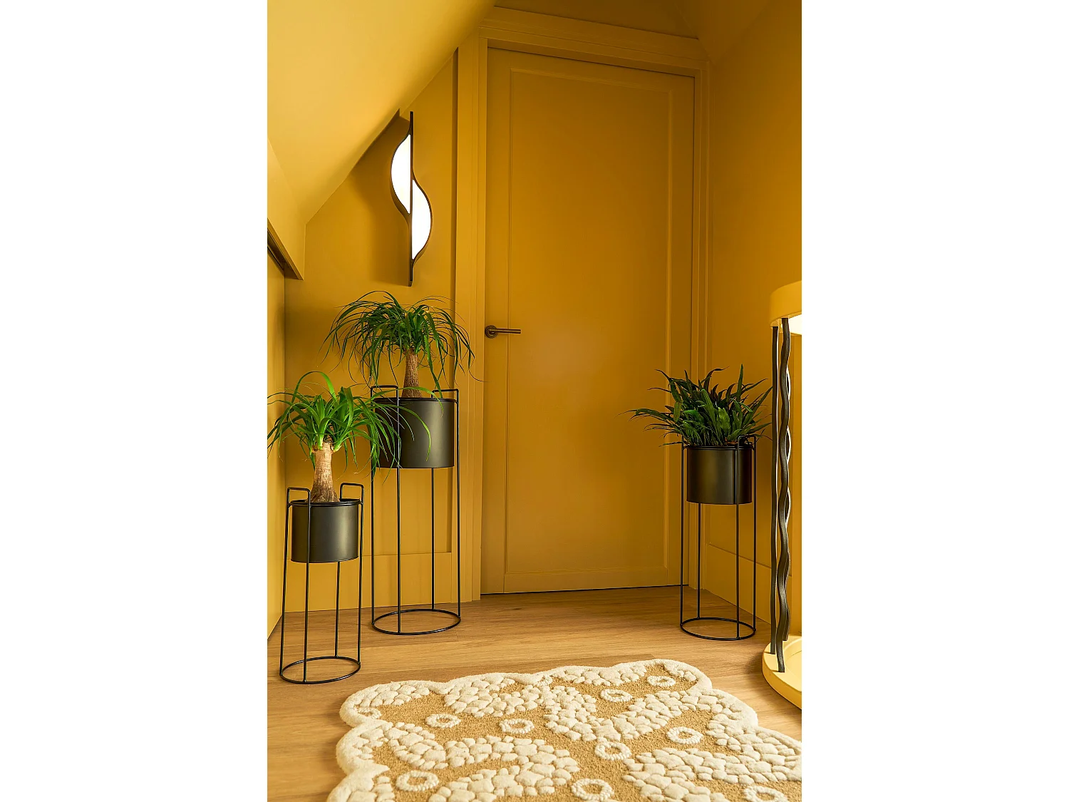 Pot de fleurs d'interieur en fer - 80 x Ø28 / 65 x Ø23 / 50 x Ø19 - Noir - FAVANI