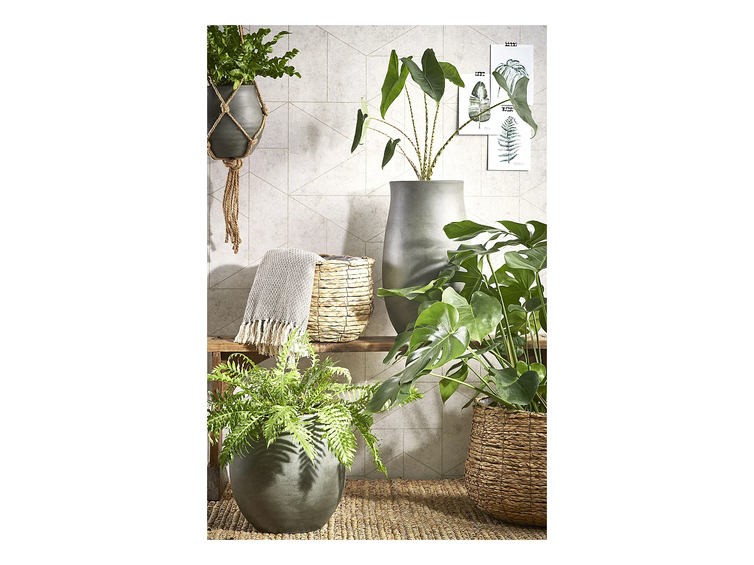Ensemble de panier a plantes en seagrass et métal et plastique (inlay) - 32 x Ø44 - Marron clair - AVALON