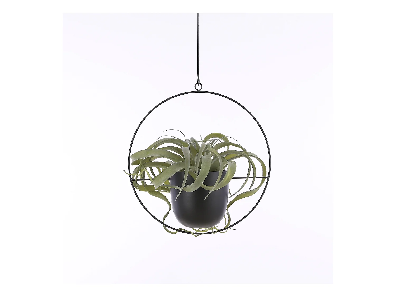 Blumenampel aus Eisen - 34 x 14 x 65 - Schwarz - DEXTER