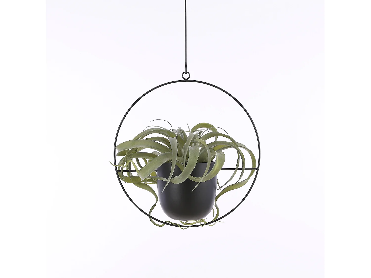 Bloempot binnen hangend van ijzer - 34 x 14 x 65 - Zwart - DEXTER