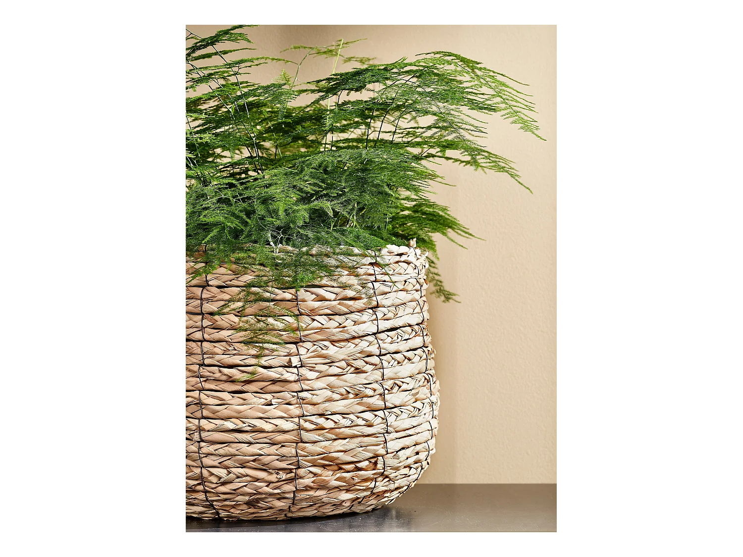Plantenmand van zeegras en plastic - Ø26 x 26 - Lichtbruin - AVALON