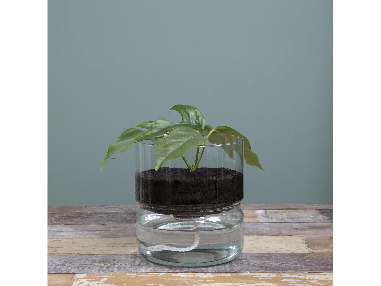 Pot de fleurs d'interieur  en verre recyclé - Ø19 x 22 - Transparent - ELEMENTS