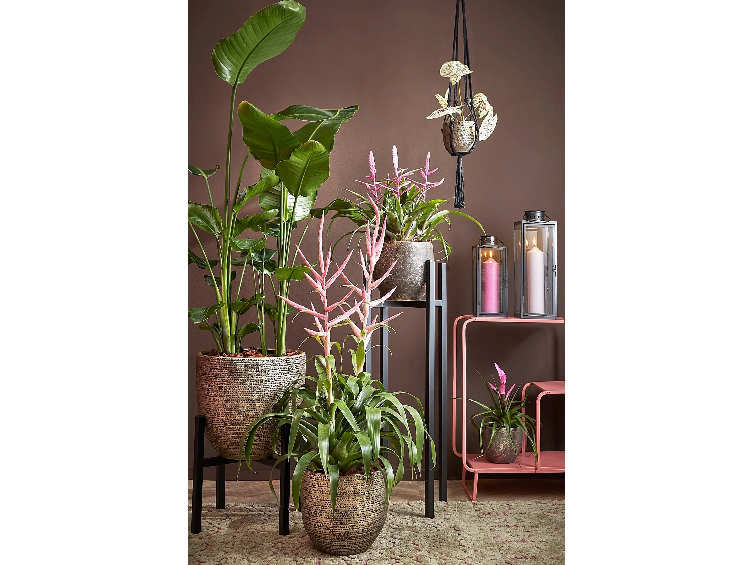 Lanterne en métal et verre - 13,5 x 13 x 34,5 - Noir - ARZILLA