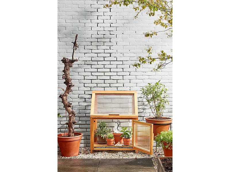 Gewächshaus aus Mahagoni und Polycarbonat und Metallteile - 60 x 42 x 77 - Braun - CAMINIA