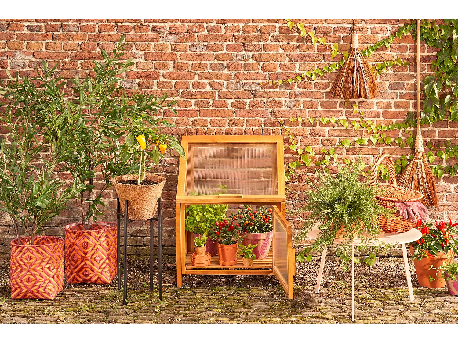 Kweekkas van mahoniehout en policarbonaat en metalen onderdelen - 60 x 42 x 77 - Bruin - CAMINIA