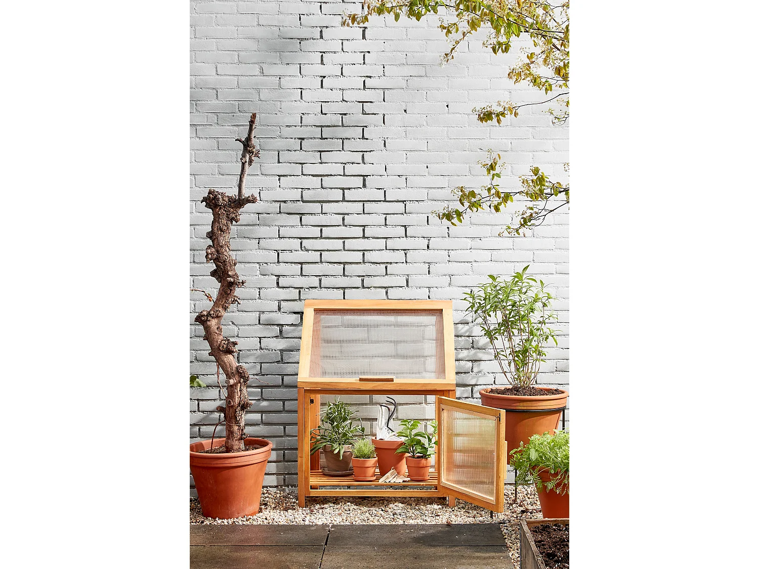 Serre en acajou et polycarbonate et pièces métals - 60 x 42 x 77 - Marron - CAMINIA