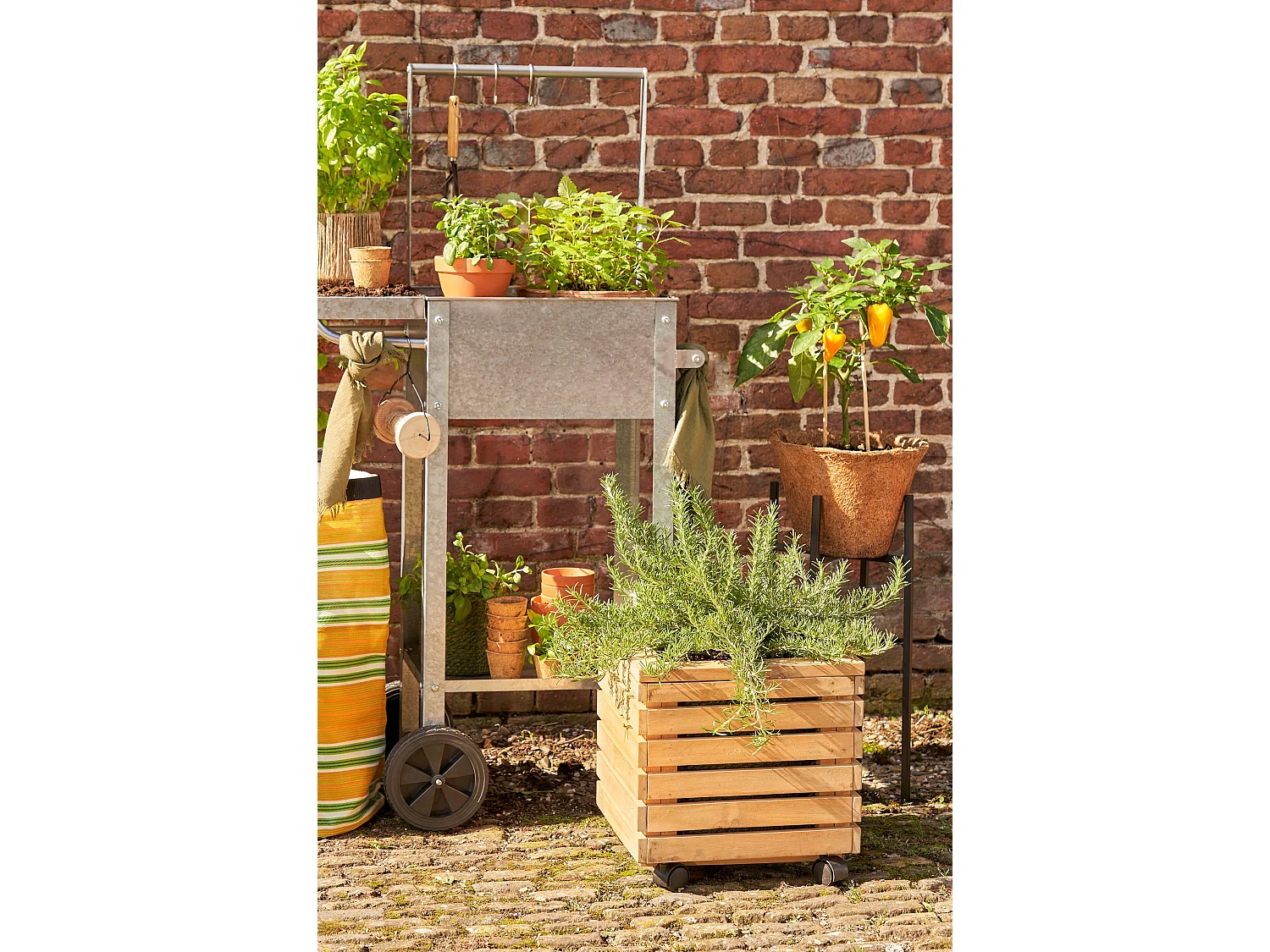 Jardinière d'extérieur en bois d'acacia - 35 x 35 x 35 - Marron - GLENWOOD