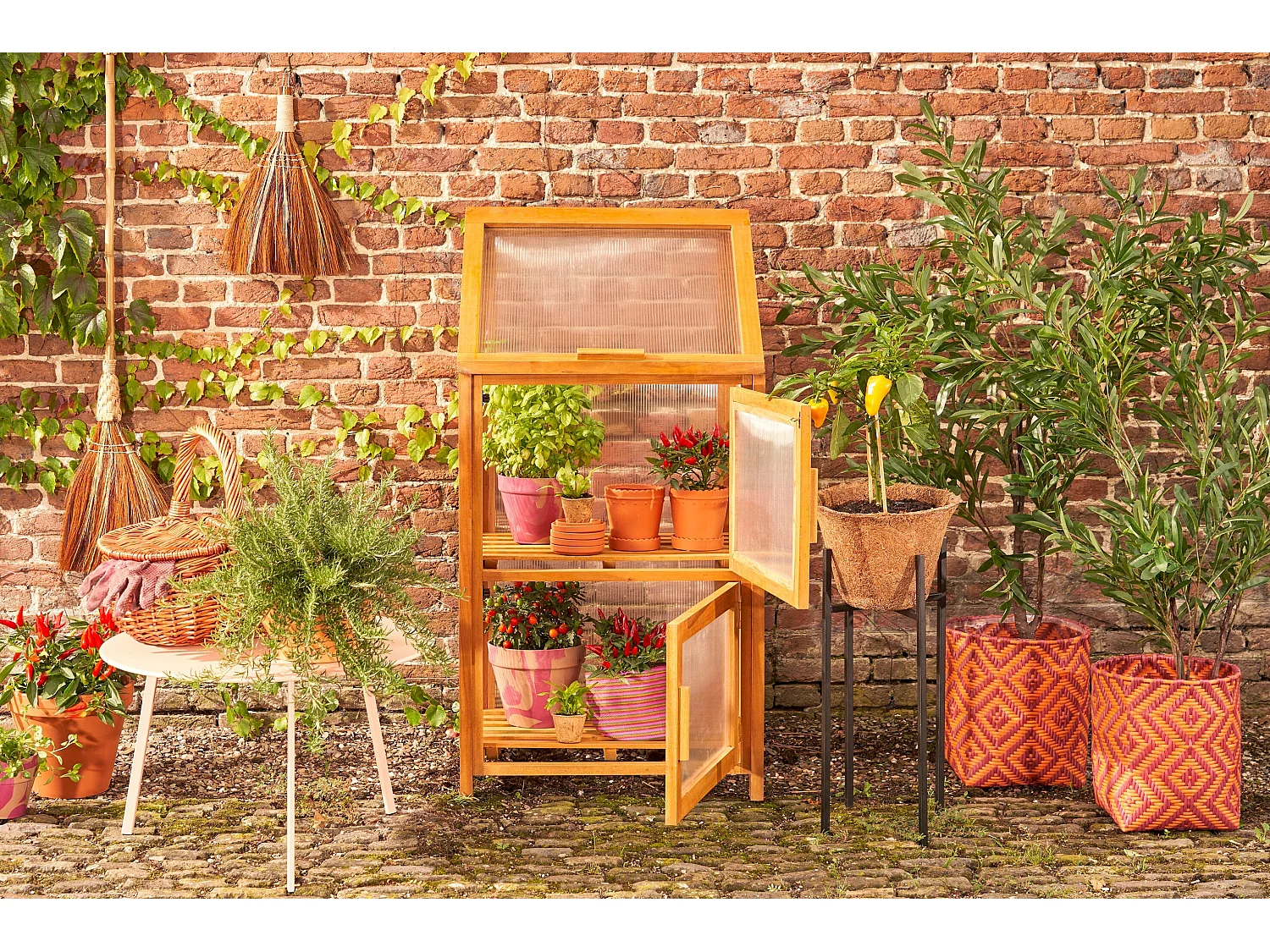 Serre en acajou et polycarbonate et pièces métals - 60 x 42 x 115 - Marron - CAMINIA