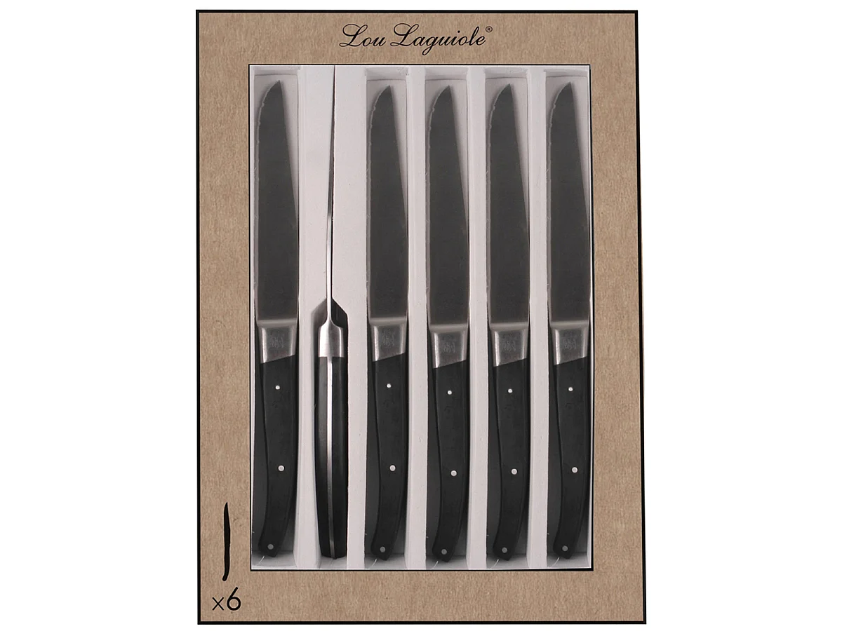 Pro - Coffret 6 couteaux steak lame dentée