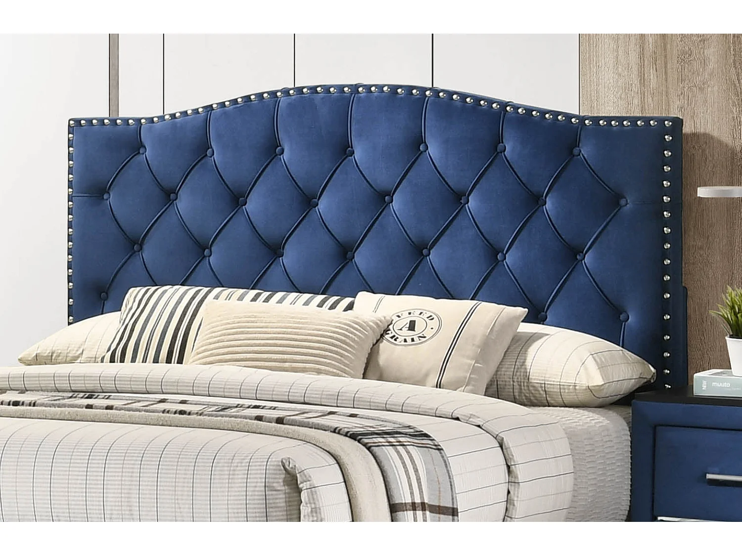 Cama de Matrimonio Jessy 150cm Gris en terciopelo + Colchon Basico de 17 cm (+/-)