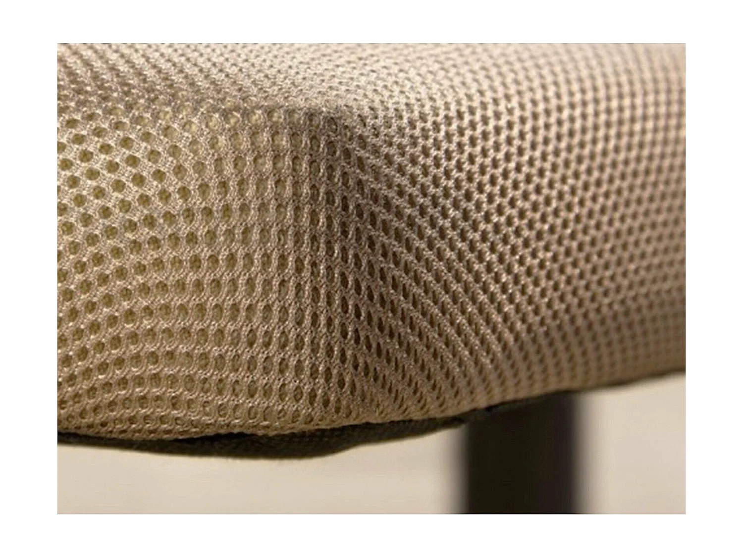 Estrado Estofado + Colchão Básico 150x190cm