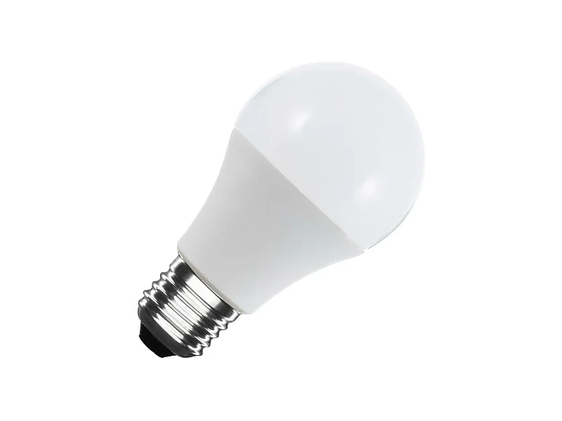 Ampoule LED 12/24V E27 6W 480 lm A60  4000K Blanc neutre