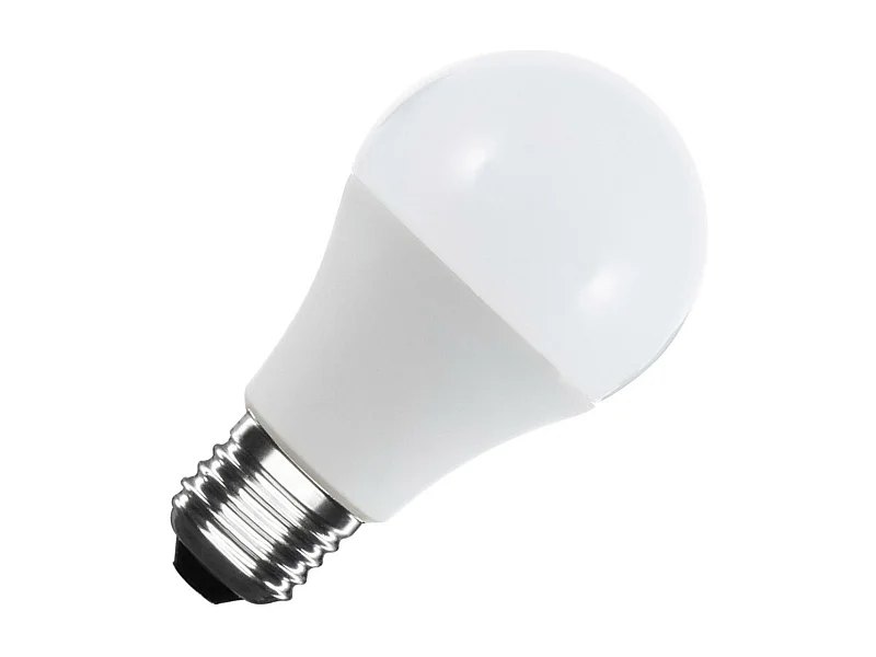 Lampadina LED 12/24V E27 6W 480 lm A60 4000K Bianco Naturale