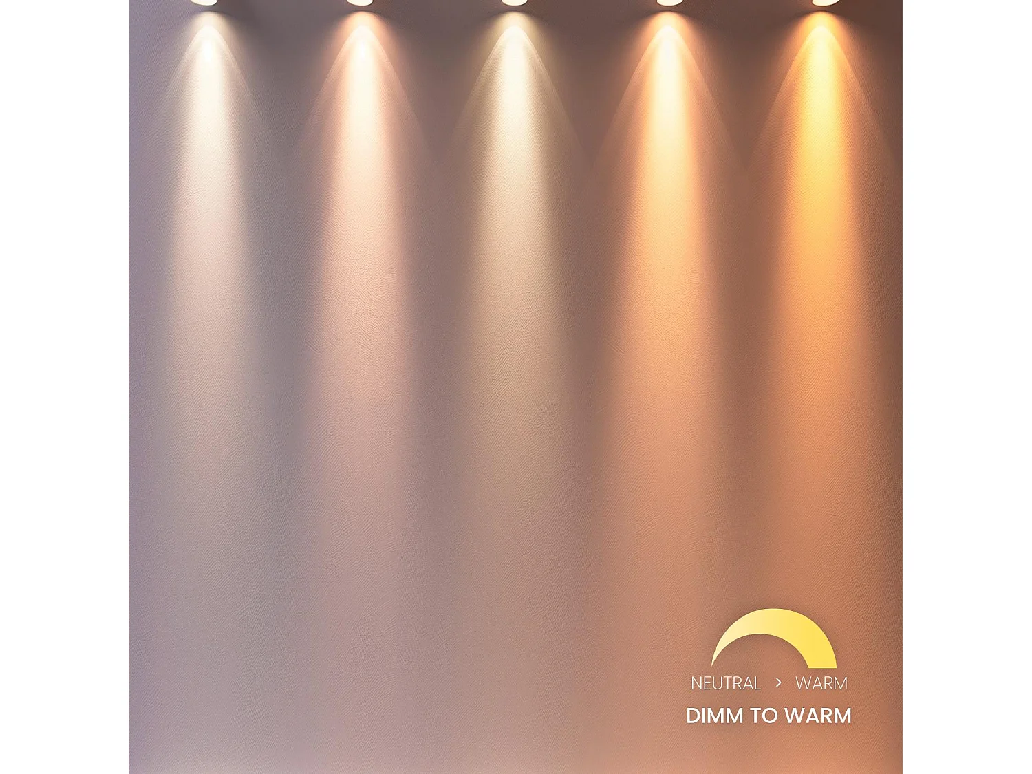 Lampadina LED Regolabile GU10 AR111S 12W 800 lm 24º Dim to Warm Bianco