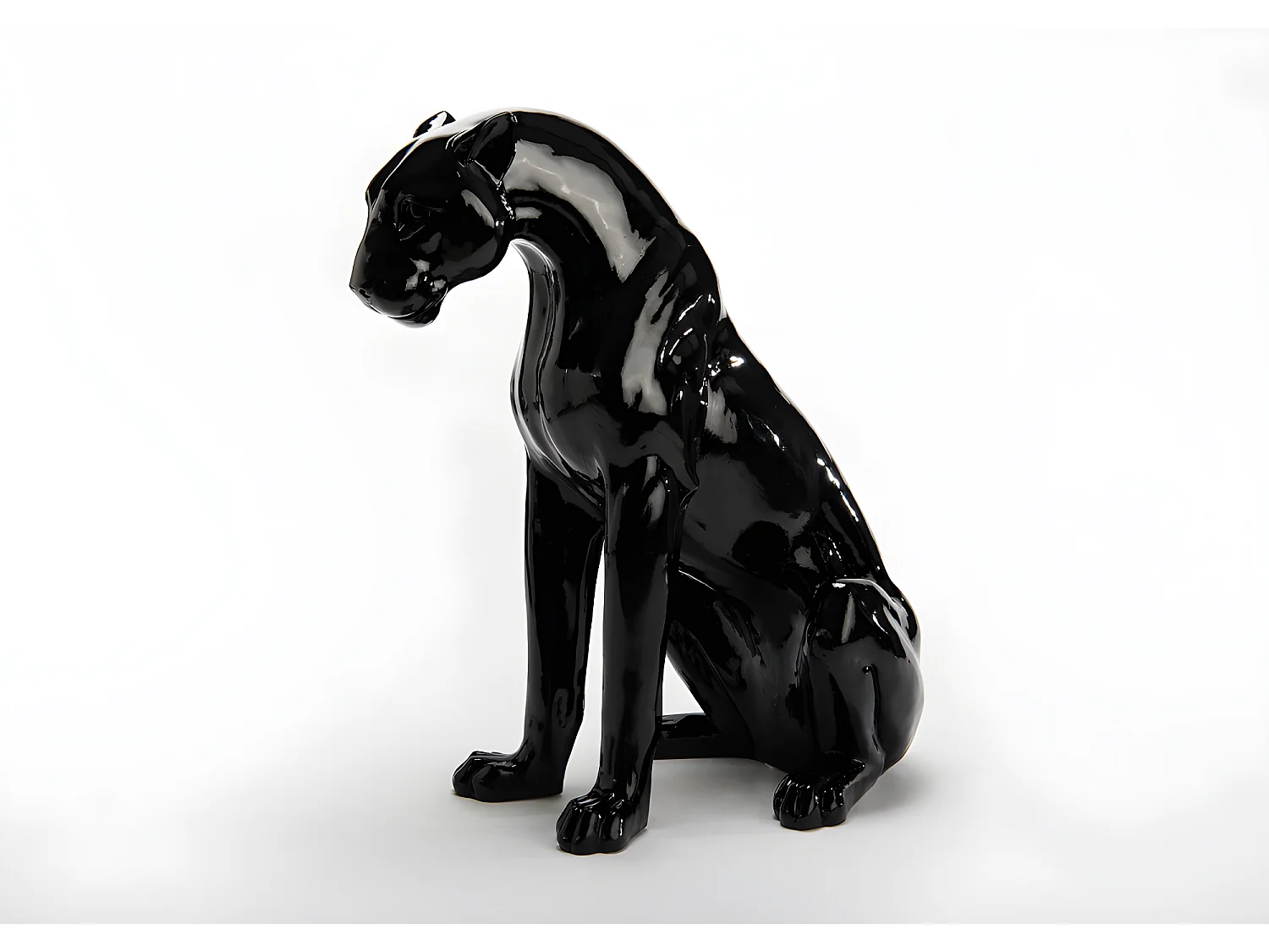 Panthère noire assise