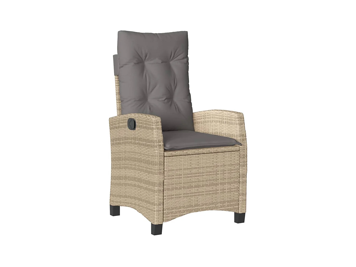 Chaises inclinables jardin lot de 2 et coussins résine tressée REO32610