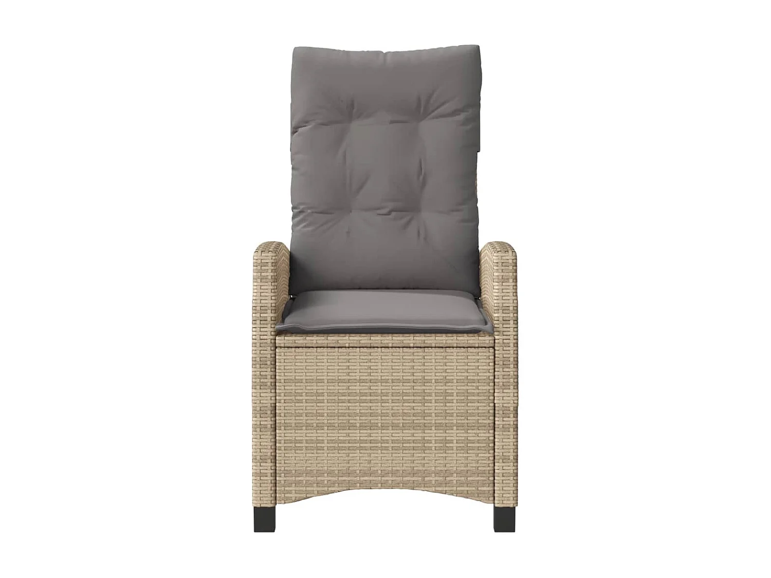 Chaises inclinables jardin lot de 2 et coussins résine tressée REO32610