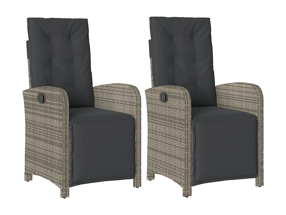 Chaises inclinables de jardin lot de 2 et repose-pied rotin REO41275