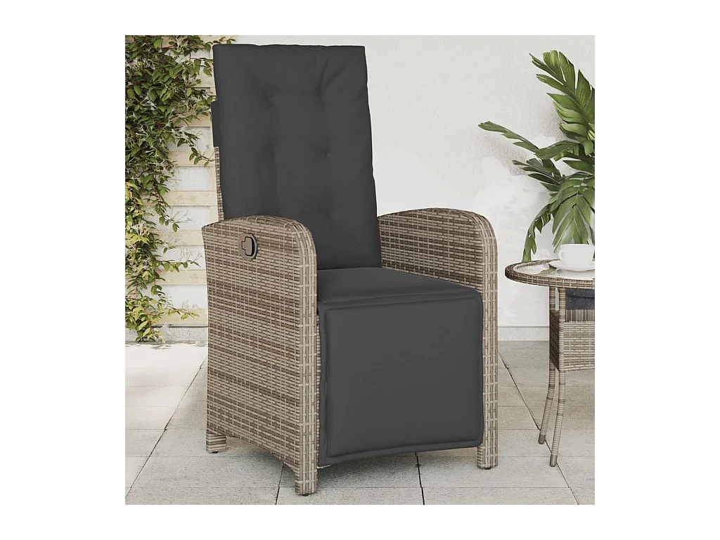 Chaise inclinable de jardin et repose-pied gris résine tressée REO39876