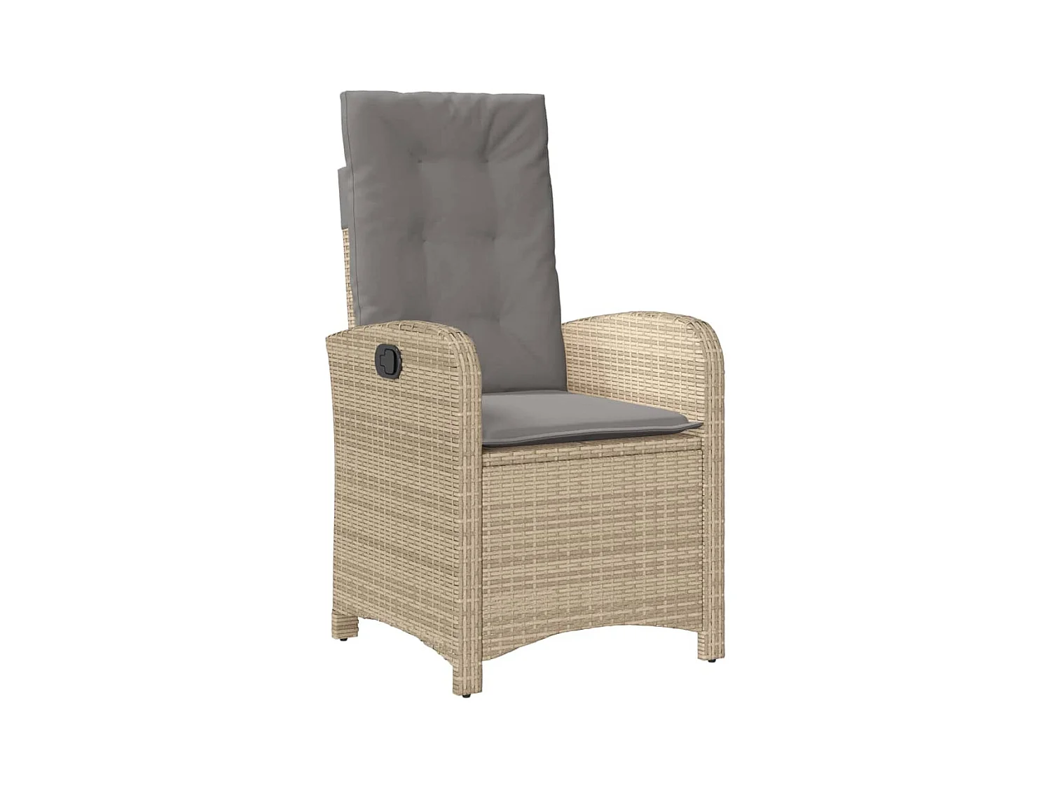 Chaises inclinables jardin lot de 2 et coussins résine tressée REO18416