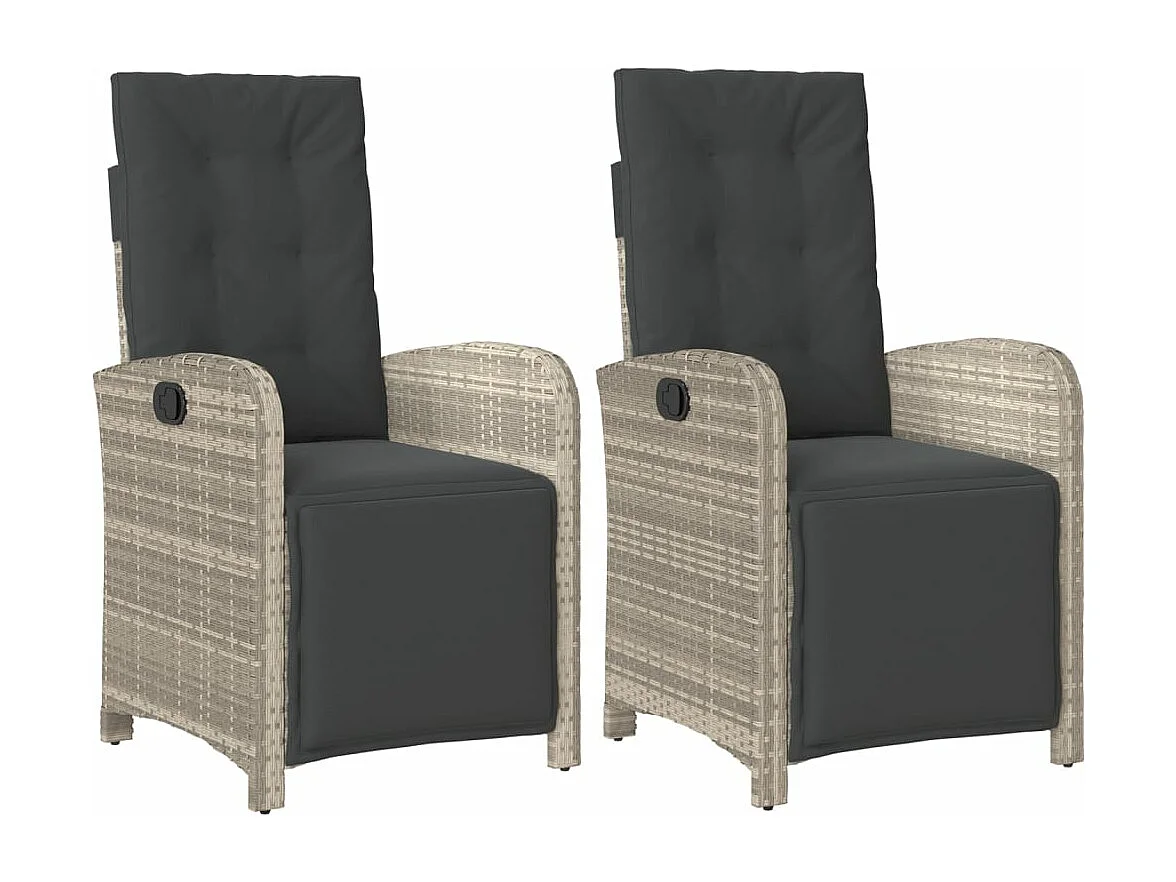 Chaises inclinables de jardin lot de 2 avec repose-pied rotin REO69445