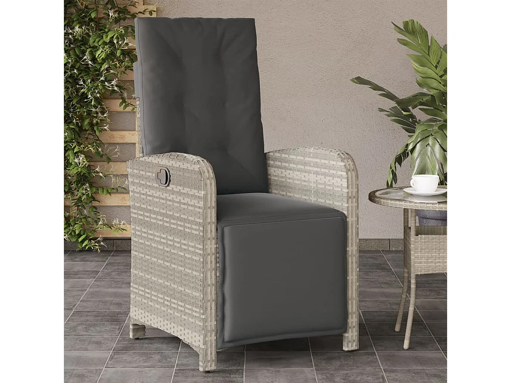 Chaises inclinables de jardin lot de 2 avec repose-pied rotin REO69445