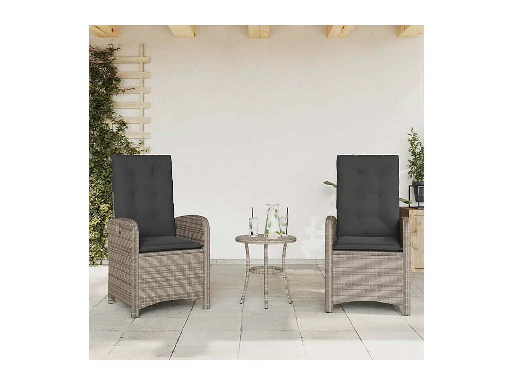 Chaises inclinables de jardin lot de 2 et coussins gris rotin REO18657