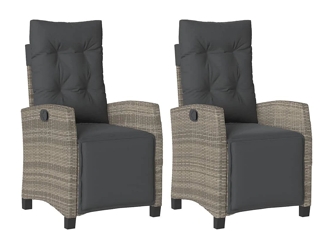 Chaises inclinables de jardin lot de 2 et repose-pied rotin REO19004