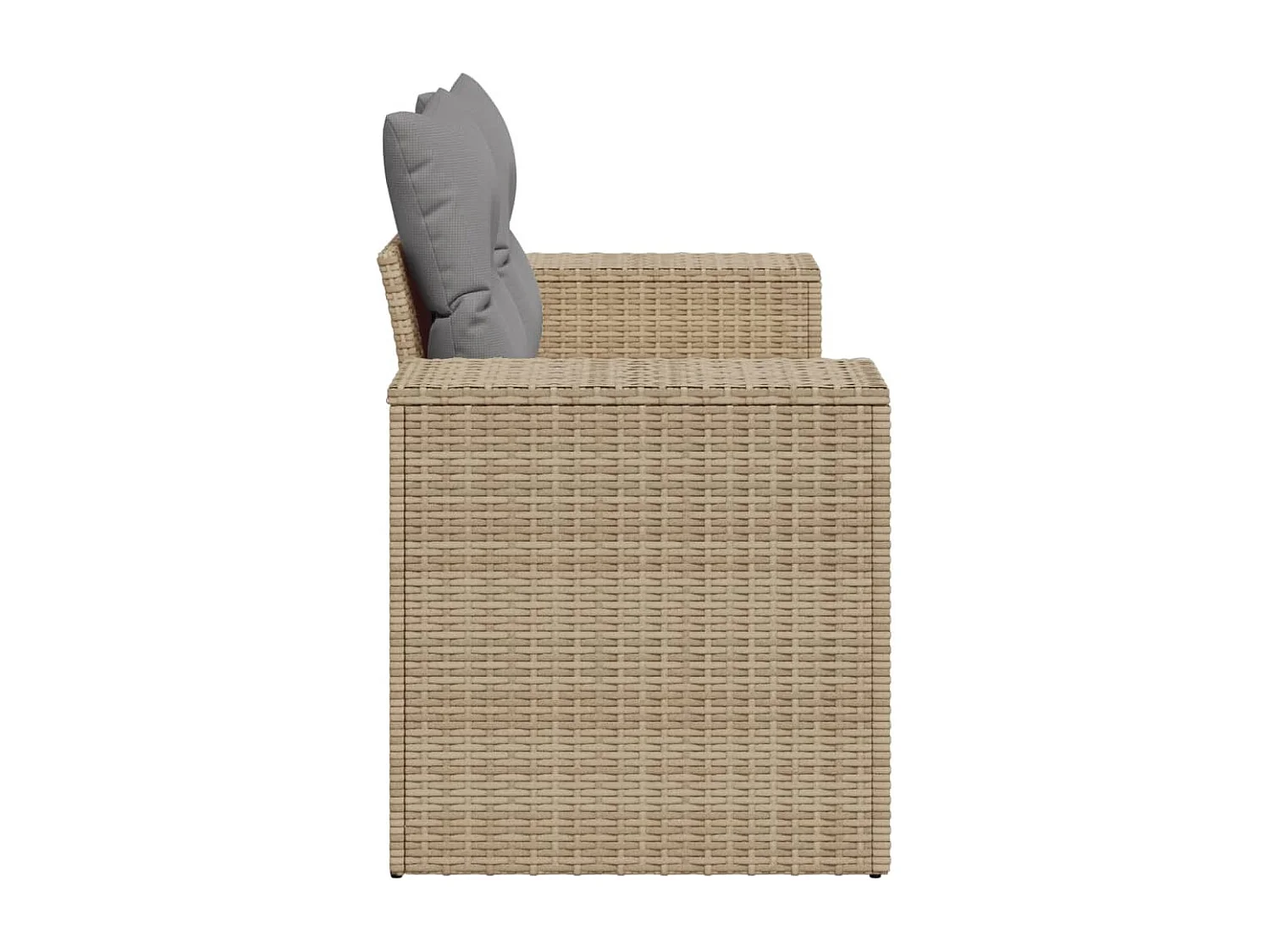 Canapé de jardin avec coussins 2 places beige résine tressée REO39741