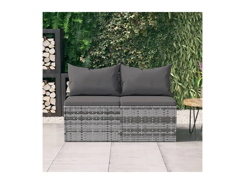 Canapés centraux de jardin et coussins 2pcs Gris Résine tressée REO91091