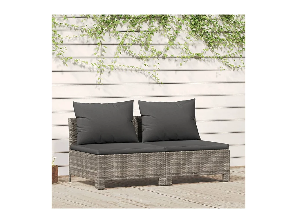 Canapé de jardin 2 places avec coussins Gris Résine tressée REO61253