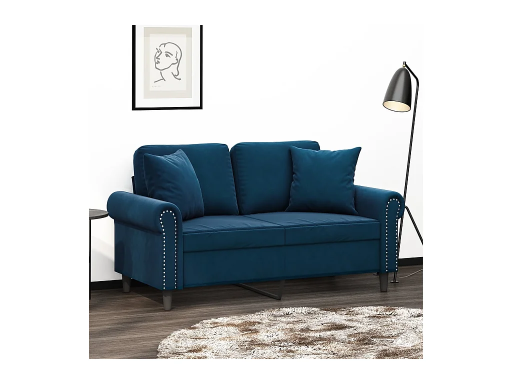 Coussins décoratifs 2 pcs Bleu 40x40 cm Velours OFR35244