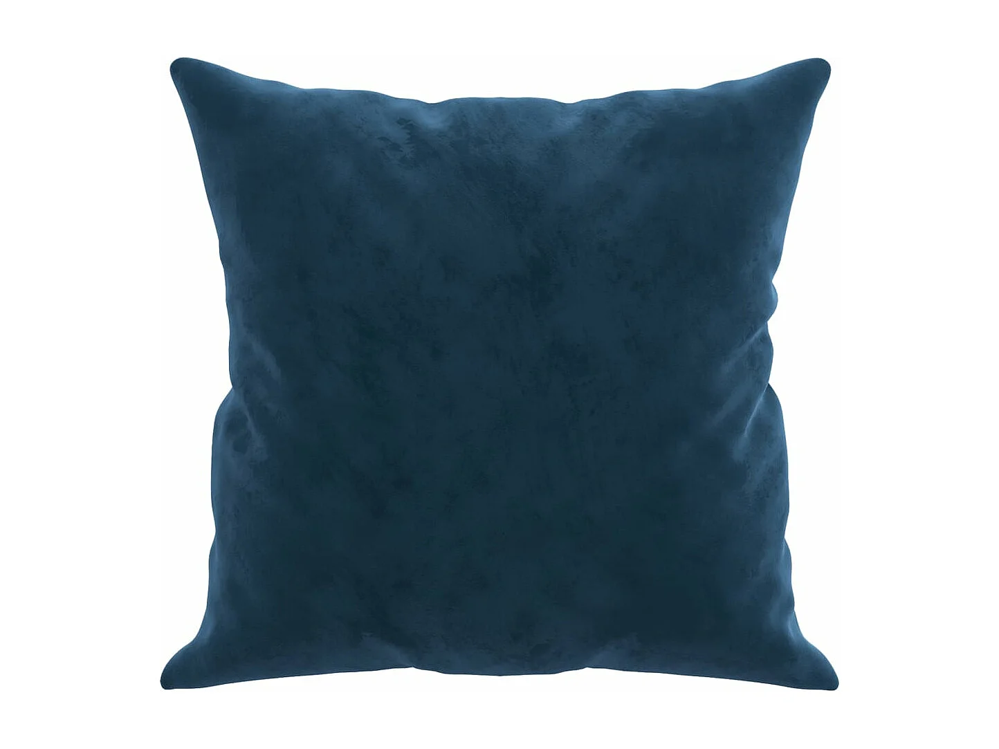 Coussins décoratifs 2 pcs Bleu 40x40 cm Velours OFR35244