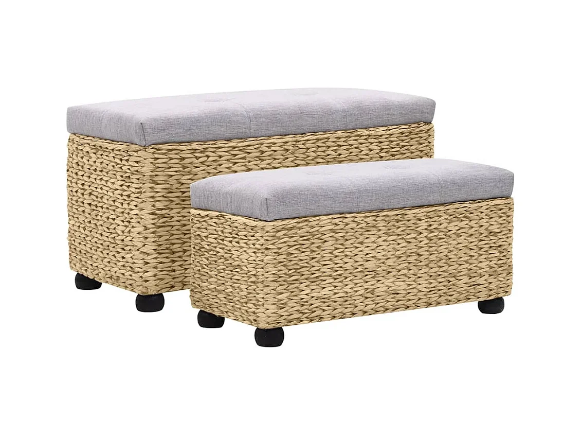 Ensemble de banc 2 pcs Jacinthe d'eau Gris REO44564