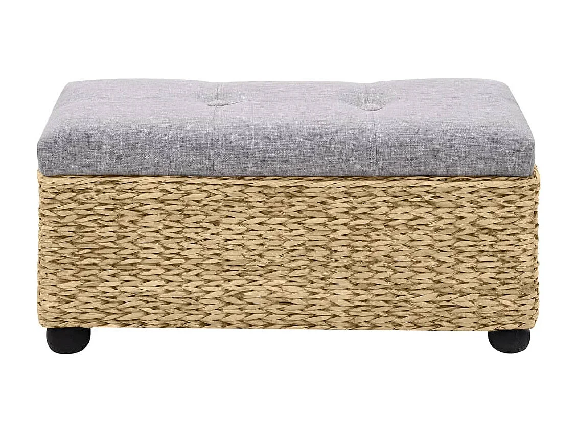 Ensemble de banc 2 pcs Jacinthe d'eau Gris REO44564