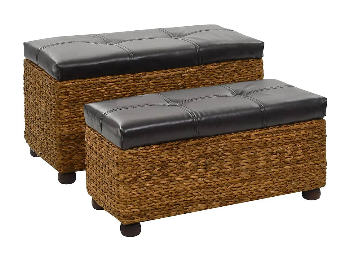 Ensemble de banc 2 pcs Jacinthe d'eau Marron REO91430