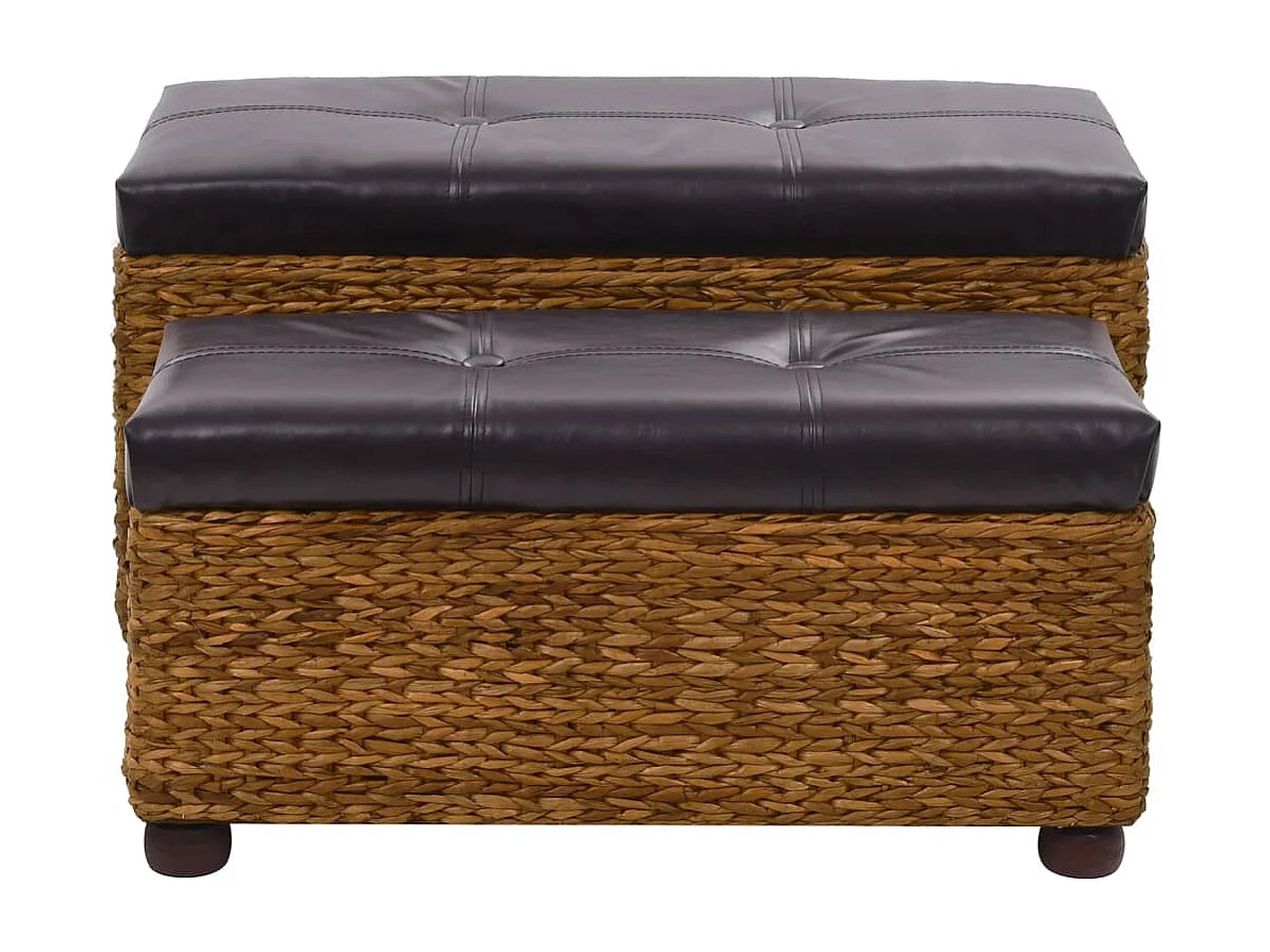 Ensemble de banc 2 pcs Jacinthe d'eau Marron REO91430