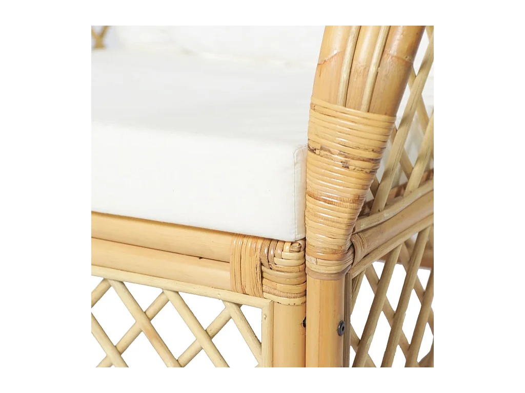 Canapé avec coussin Rotin naturel et lin REO38046
