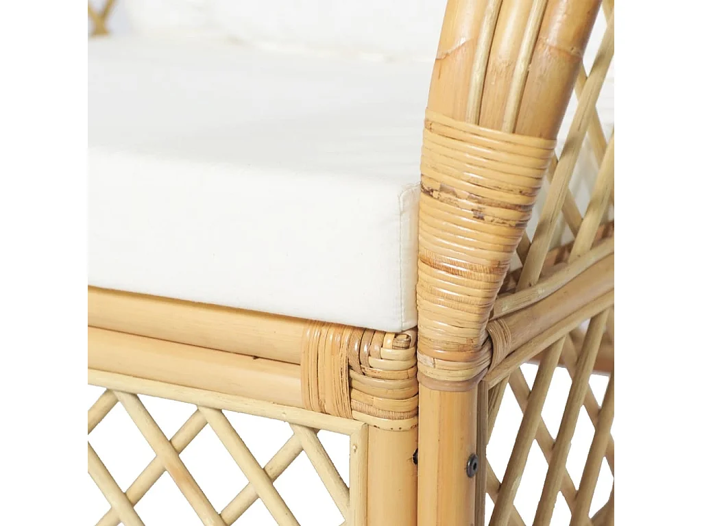 Canapé avec coussin Rotin naturel et lin REO38046