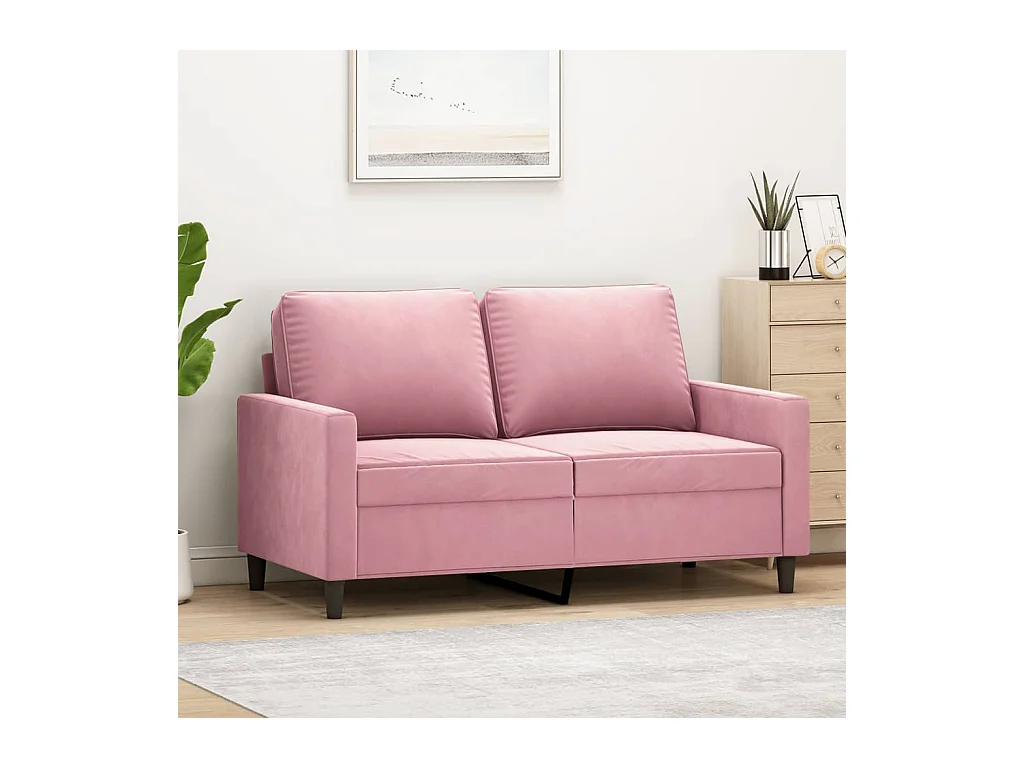 Canapé à 2 places Rose 120 cm Velours REO26594