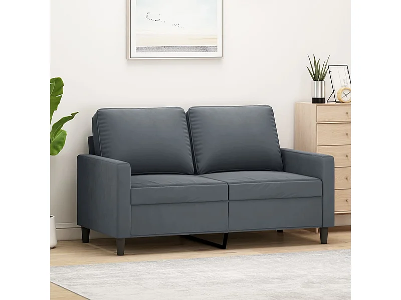 Canapé à 2 places Gris foncé 120 cm Velours REO51885