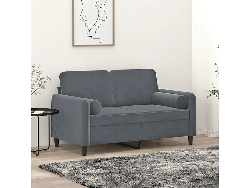 Canapé 2 places avec oreillers gris foncé 120 cm velours REO14934