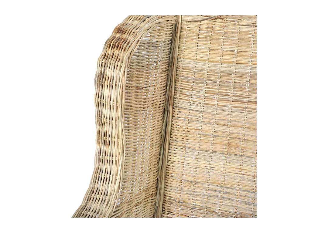 Canapé avec coussin Rotin naturel et lin REO36671