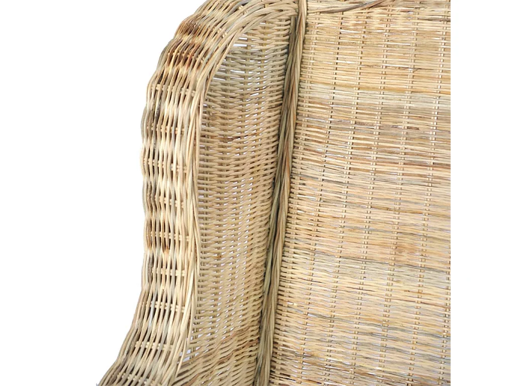 Canapé avec coussin Rotin naturel et lin REO36671