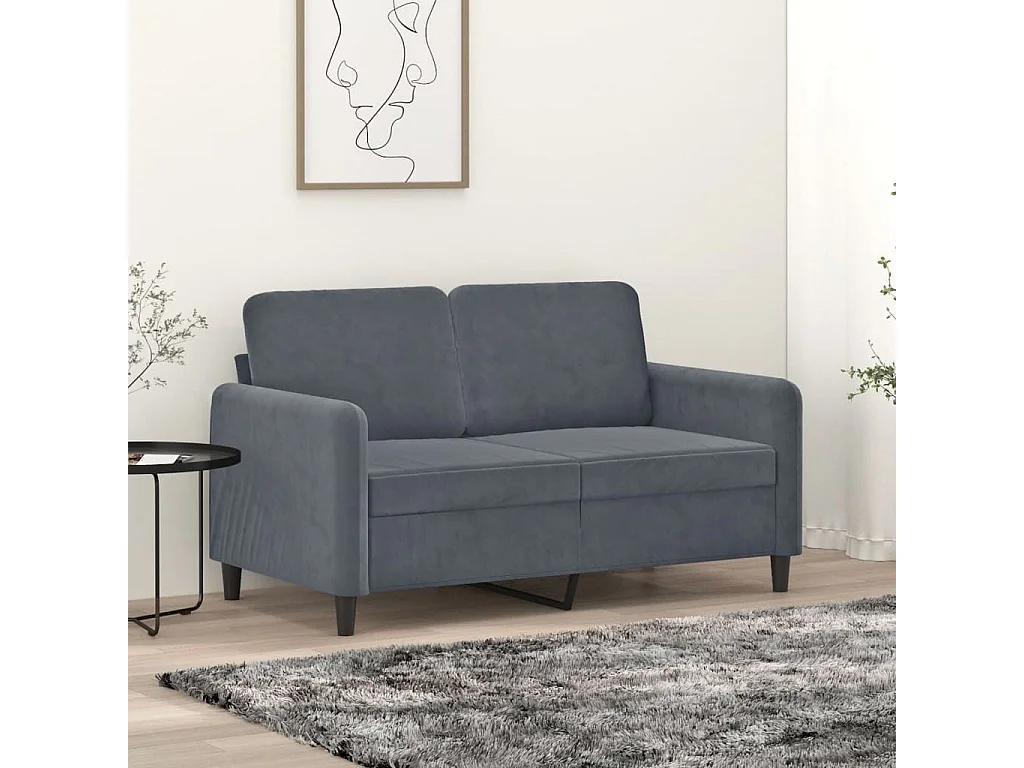 Canapé à 2 places Gris foncé 120 cm Velours REO63314