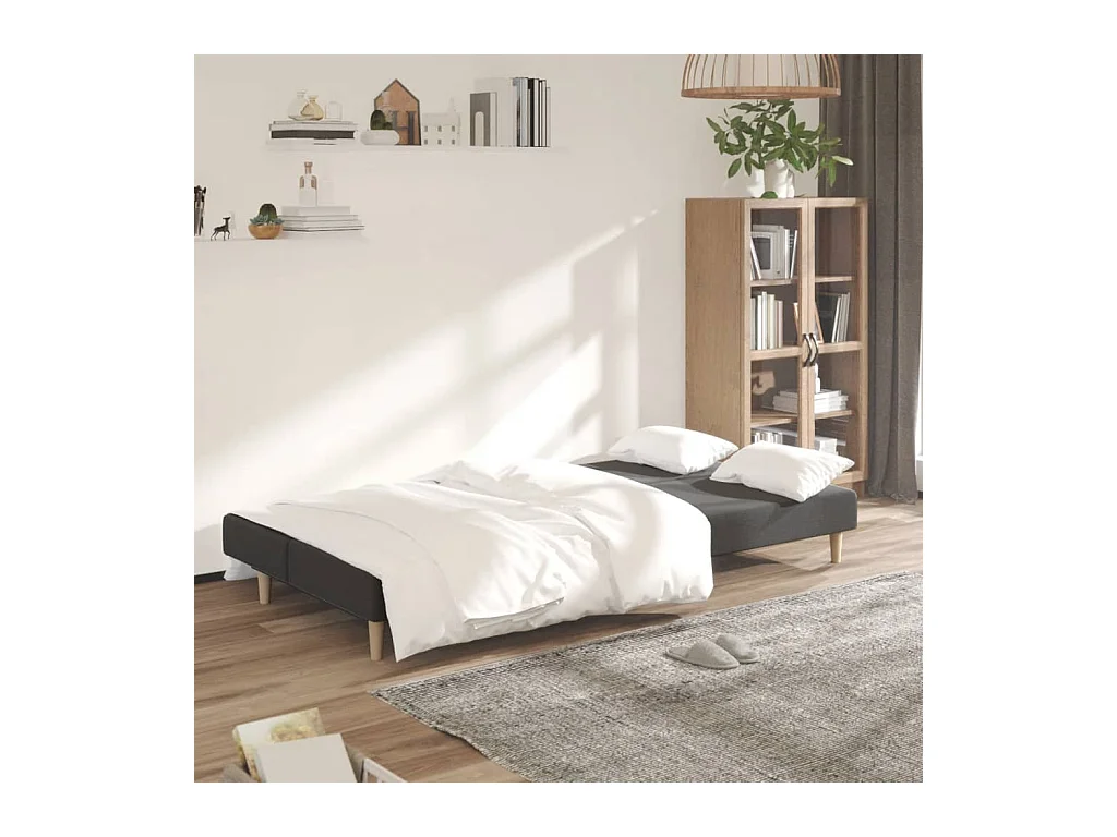 Canapé convertible à 2 places gris foncé tissu REO67600