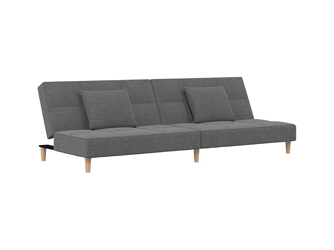 Canapé convertible à 2 places avec deux oreillers Gris foncé Tissu REO41523